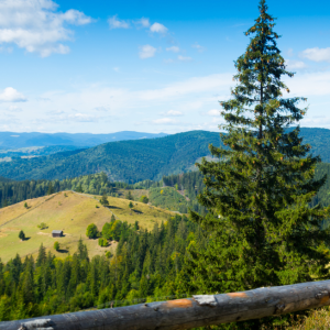 Do you like active vacations? Come to Bucovina!