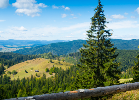 Do you like active vacations? Come to Bucovina!