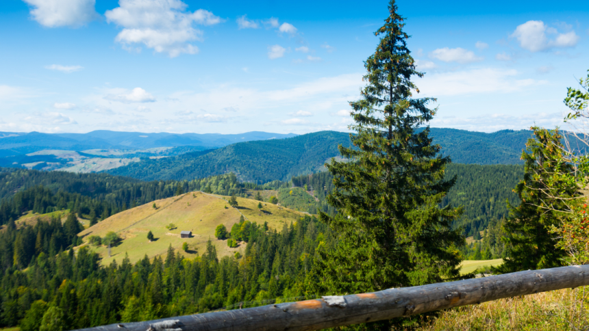 Do you like active vacations? Come to Bucovina!